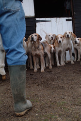 Similar image 8093943