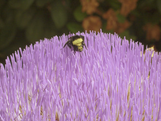 Similar image 8093944