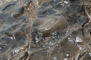 Similar image 8093945