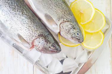 Similar image 8093955