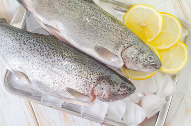 Similar image 8093958