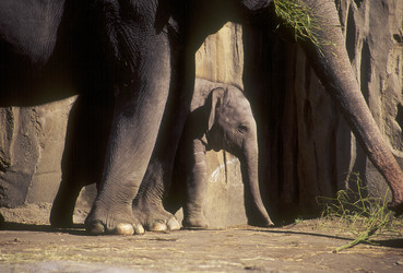 Similar image 8093975