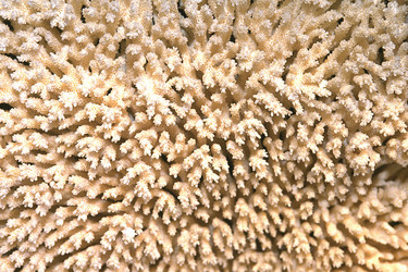 Similar image 8093981