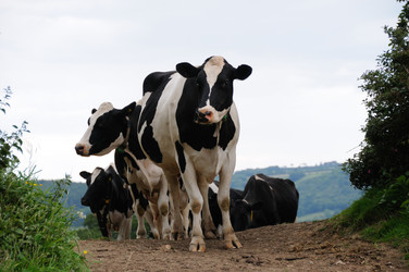 Similar image 8093983