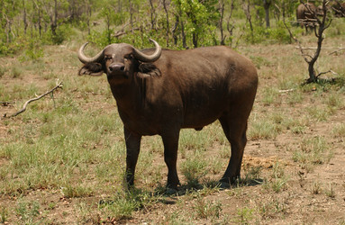 Similar image 8093988