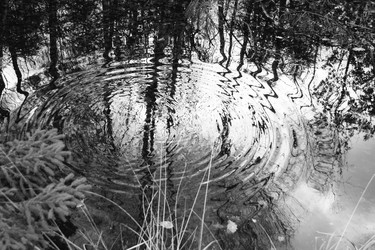 Similar image 8093989