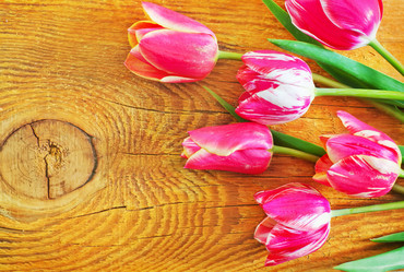 Similar image 8094094