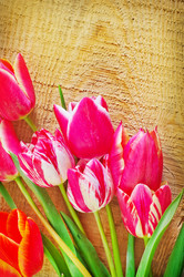 Similar image 8094095