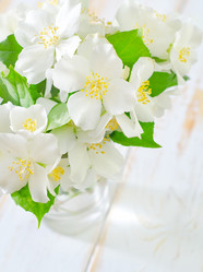 Similar image 8094133