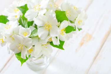 Similar image 8094165