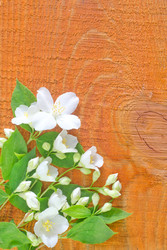 Similar image 8094960