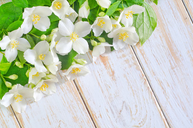 Similar image 8094991