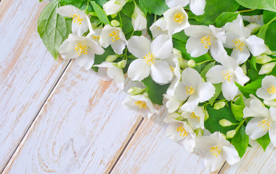 Similar image 8095011