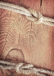 Similar image 8095013