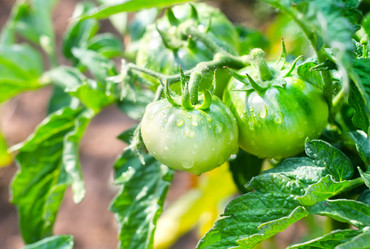 Similar image 8095344