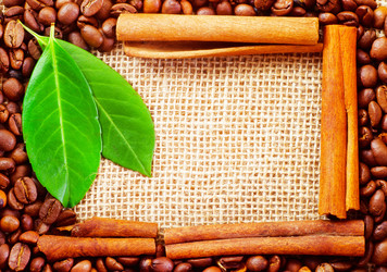 Similar image 8095348