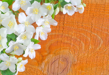 Similar image 8095352