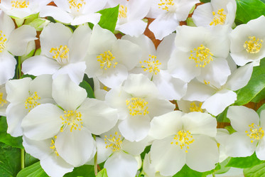 Similar image 8095354