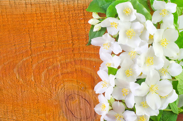 Similar image 8095355