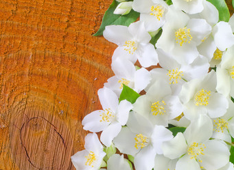 Similar image 8095356