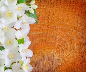 Similar image 8095357