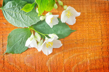 Similar image 8095369