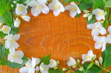 Similar image 8095384