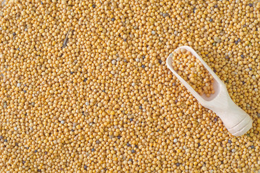 Similar image 8095397