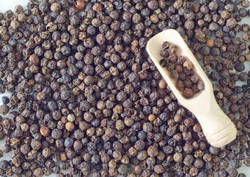 Similar image 8095431