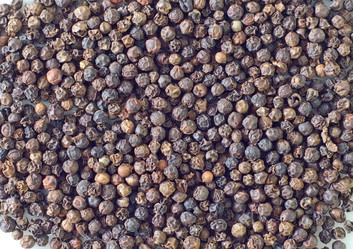 Similar image 8095432