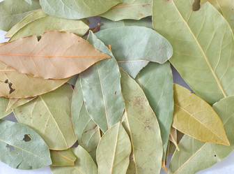 Similar image 8095434