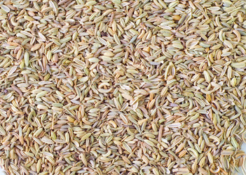 Similar image 8095437