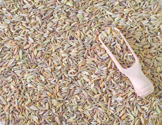 Similar image 8095439