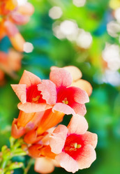 Similar image 8095523