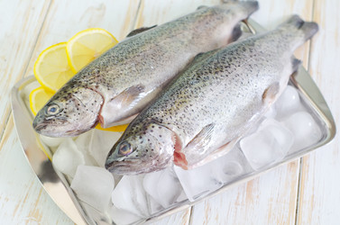 Similar image 8095532