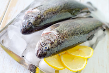 Similar image 8095534