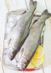 Similar image 8095535