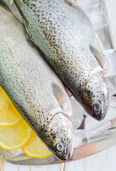 Similar image 8095537