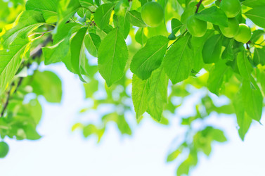 Similar image 8095568