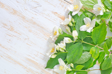 Similar image 8095591