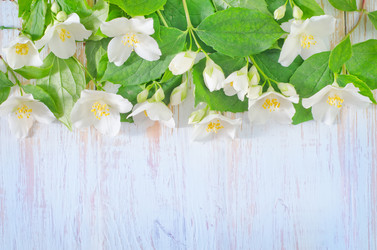 Similar image 8095602