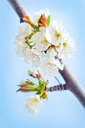 Similar image 8095693