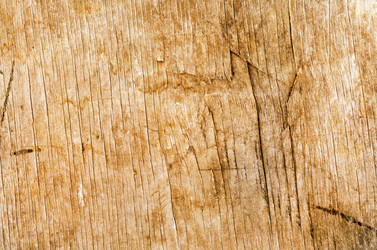 Similar image 8095697