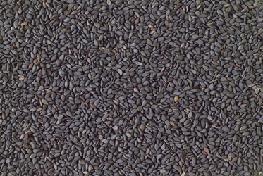 Similar image 8095758