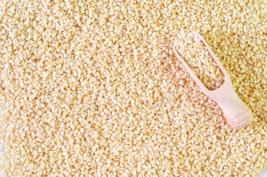 Similar image 8095769