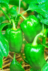 Similar image 8095880