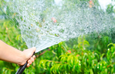 Similar image 8095888