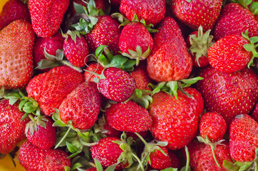 Similar image 8095960