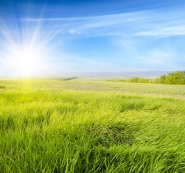 Similar image 8096053