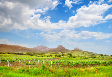 Similar image 8096068